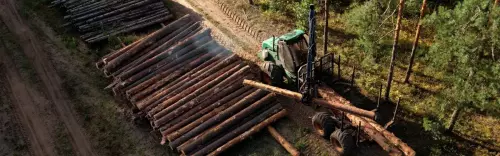 Process Of Forest Harvesting